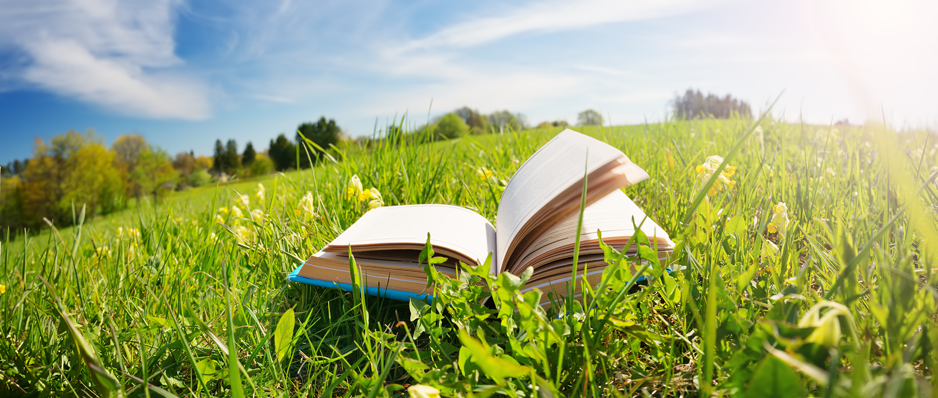 Open book in green field